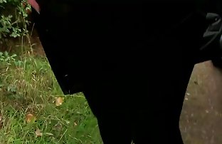 xxx 顺从的奴隶乱搞性感的情妇鸵鸟在她的脸上 在线色情电影 大公鸡